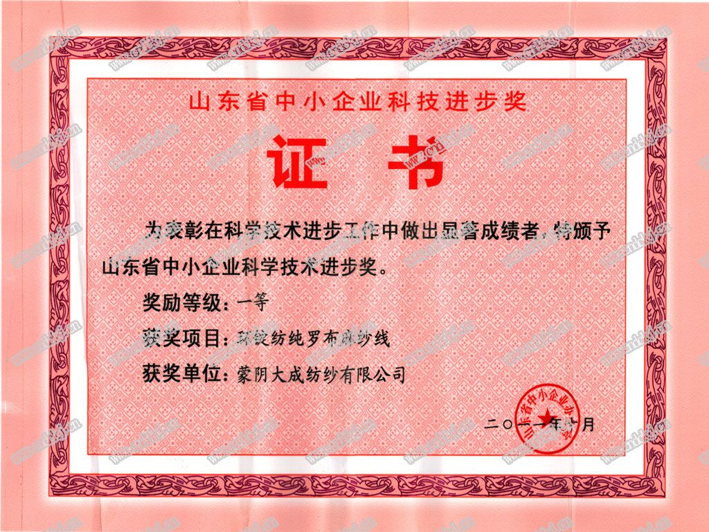 科技进步一等奖.jpg